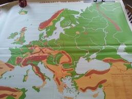 Beschichtetes Gewebe